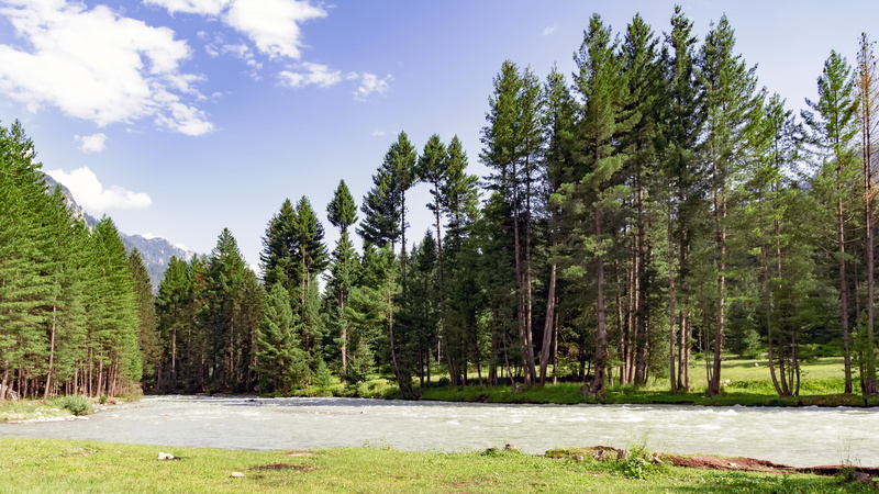 tree, day, landscape, panjgor, beauty, upperdir, cloud - sky, kumrat, non-urban scene, scenics - nature, pakistan, environment, nature, sky, 5K, kumrat valley