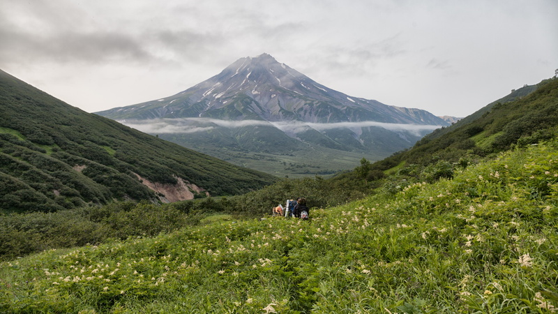 green color, beauty in nature, real people, mountain peak, grass, plant, idyllic, nature, cloud - sky, hiking, outdoors, kamchatka foggy volcano, rear view