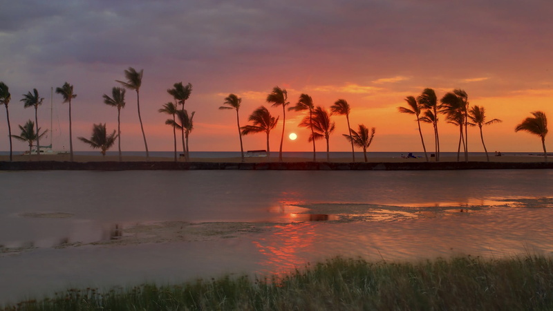 tropical tree, beauty in nature, reflection, tranquility, coconut palm tree, romantic sky, coast, water, landscape, tree, 1080P, tropical climate, sky