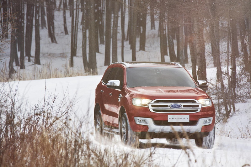 transportation, cold temperature, nature, winter, land vehicle, landscape, ford, snowing, land, snow, mode of transportation, car, tree, motor vehicle
