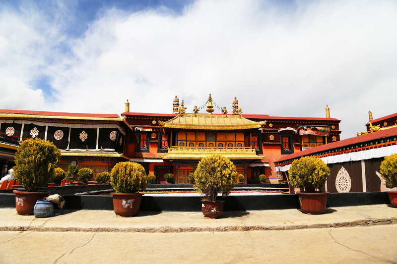 city, building exterior, ornate, travel destinations, place of worship, blue sky, belief, the majestic, the solemn, courtyard, plant, buddhism, temple