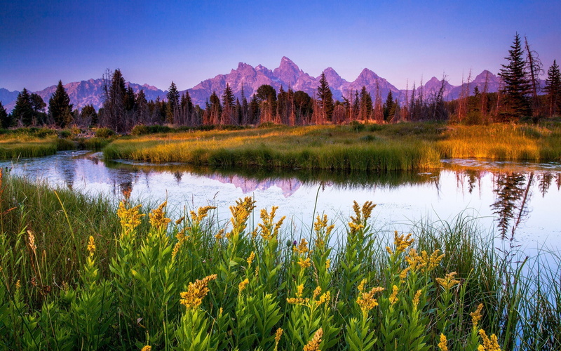 rocky, park, jenny, trees, desktop, national, hd, grass, green, landscape, grand, teton, lake, 2K, scenery, pine, mountains