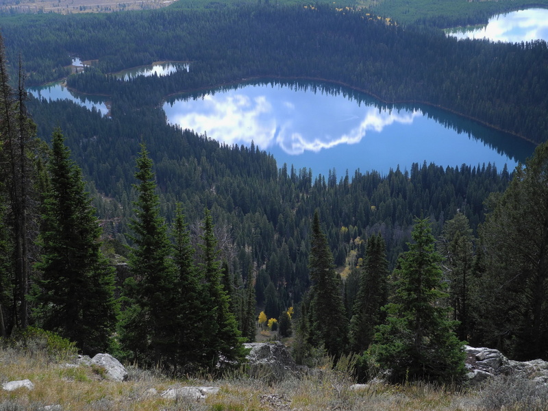 environment, green color, plant, wyoming, sky, land, coniferous tree, tranquility, jenny lake, tranquil scene, water, grand teton, growth, woodland, cloud - sky