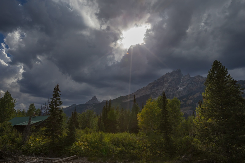 land, mountain peak, forest, overcast, environment, tranquil scene, growth, tree, united states, outdoors, nature, beauty in nature, 5K, sky, scenics - nature