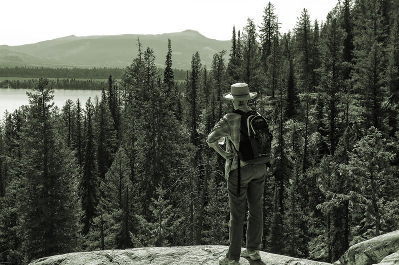land, overlooking jenny lake, lifestyles, water, landscape, tranquil scene, woman, hike, one person, plant, wyoming, three quarter length, forest, standing
