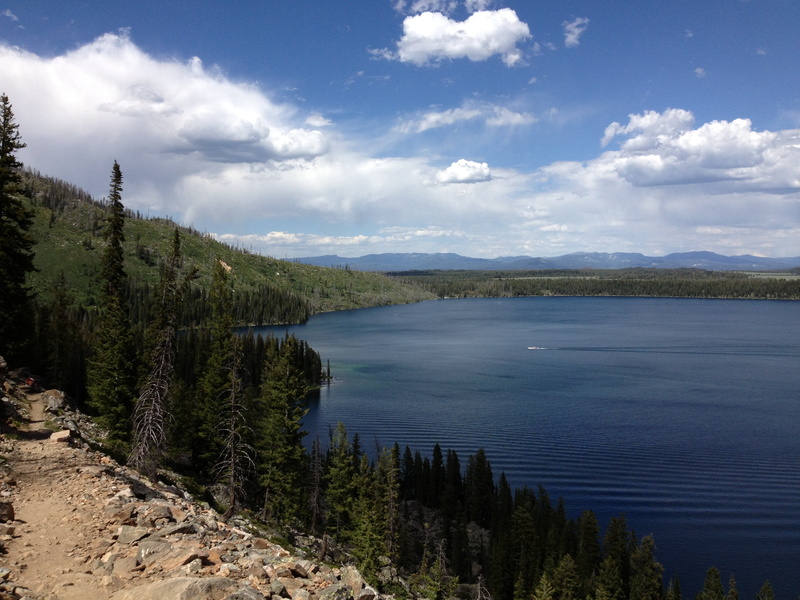 summer, nature, plant, sky, trail, lake, scenics - nature, 2K, outdoors, tranquil scene, land, cloud - sky, pine tree, fishing, yellowstone national park