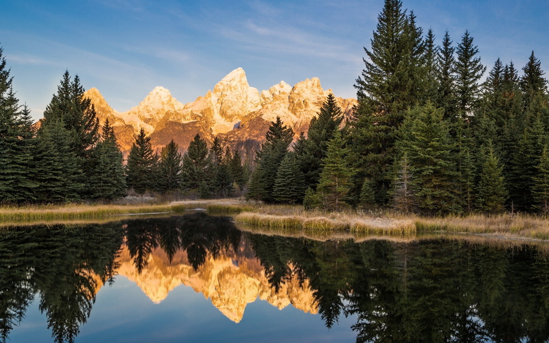 Trees, National, Grand, Park, Wyoming, Lake, Teton, USA, 1080P