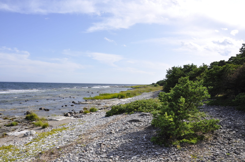 horizon over water, Pebble Beach, Gotland, sky, sea, horizon, outdoors, cloud - sky, land, rocky coastline, nature, growth, scenics - nature, non-urban scene