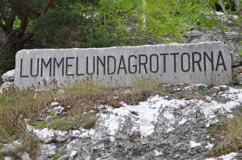 capital letter, plant, lummelunda, rock, text, 4K, growth, nature, western script, grass, information sign, information, day, gotland, rock - object, solid