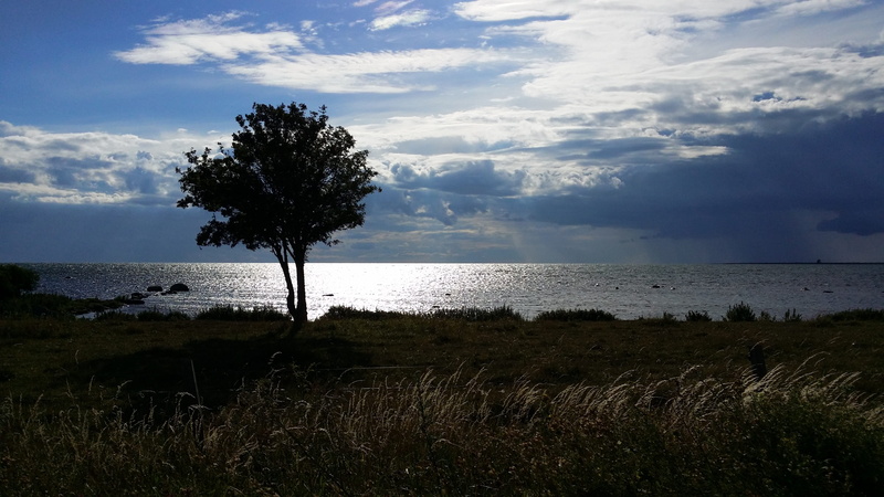 nature, sea, Backlight, landscape, 4K, beauty in nature, beach, land, day, scenics - nature, sky, outdoors, scenics, growth, horizon over water, horizon