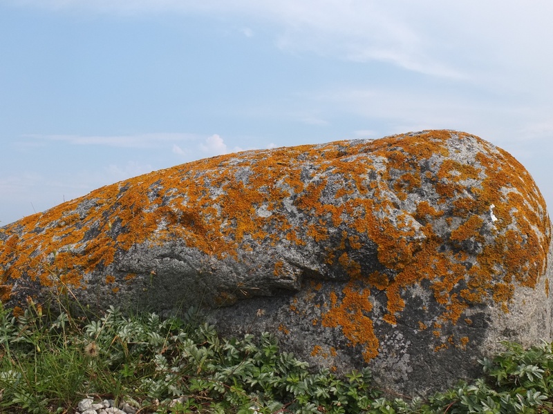 gotland, day, rock, lichen, land, beauty in nature, orange color, mountain, rusty, sweden, rock formation, stone, 2K, cloud - sky, solid, tranquil scene