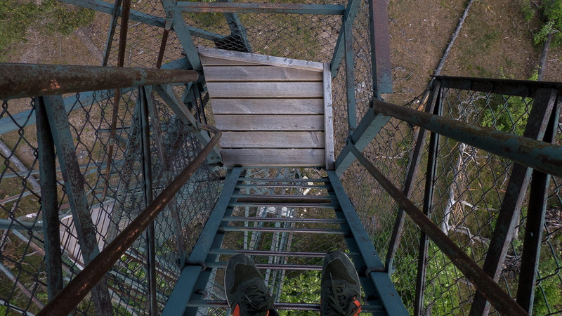sweden, forest, the way forward, 4K, gotland, ladder, direction, nature, steps and staircases, staircase, stair, built structure, wood, urban, rust, rusty