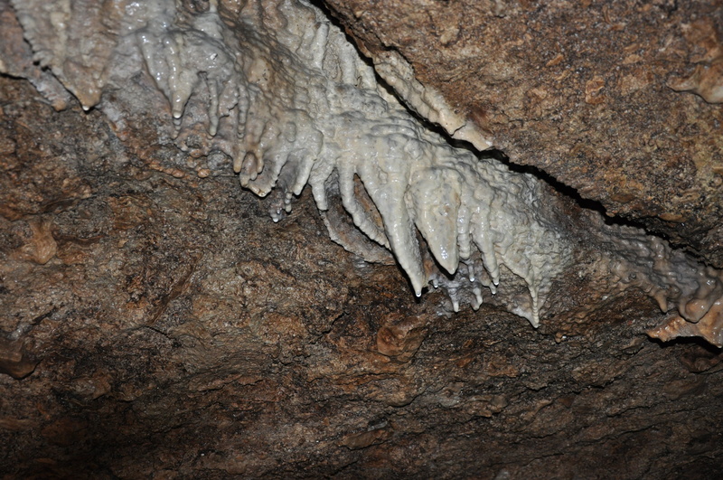 outdoors, tree trunk, stalactites, gotland, rough, full frame, beauty in nature, day, tree, plant, close-up, brown, cave, textured, mountain, pattern, wood - material