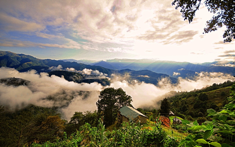 cloud - sky, mountain range, cloudscape, tranquil scene, mountain, forest, tree, sky, scenics - nature, landscape, nature, 1080P, fog, plant, mountain peak