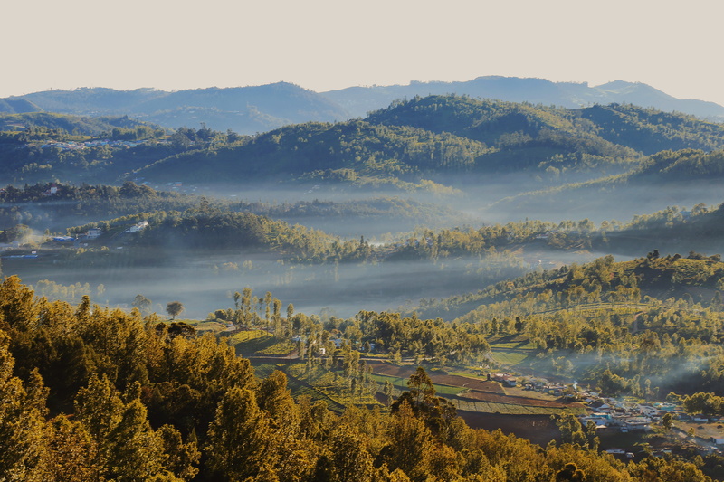 tranquil scene, field, mountain, remote, daylight, landscape, non-urban scene, water, foggy, idyllic, no people, beautiful, bird, birds eye view, high angle view