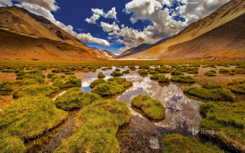 ladakh, landscape, stream - flowing water, tranquil scene, sky, water, sunlight, desktop, plant, bing, day, beauty in nature, no people, non-urban scene