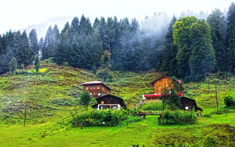 Turkey, Rize, Ayder, 1080P, nature, landscape