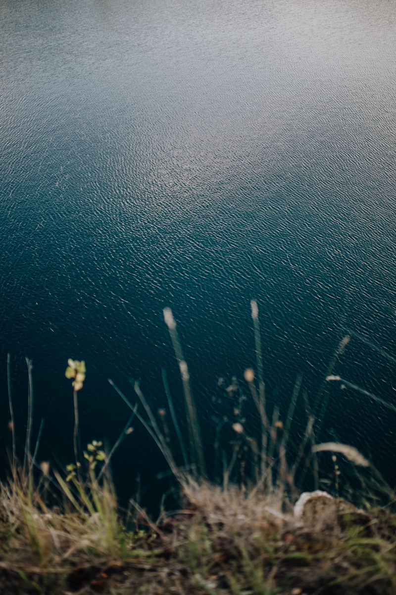 rocks, day, beach, Europe, growth, grass, water, old, nature, limestone, tranquil scene, cracow, Poland, sea, plant, lake, tranquility, cliff, land, close-up