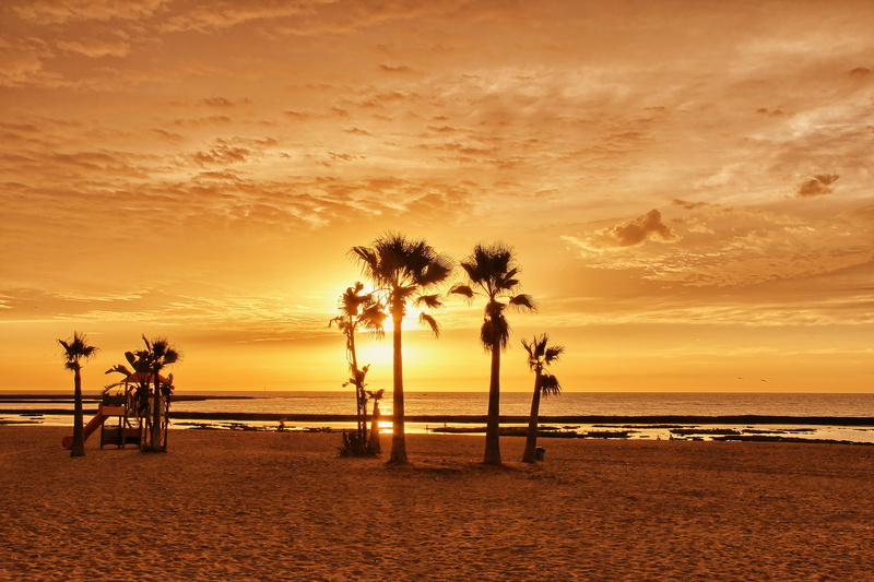 sunset, cloud - sky, nature, horizon over water, spain, golden, outdoors, 5K, cadiz, jaimepf, tropical climate, beach, tranquility, palm tree, chipiona