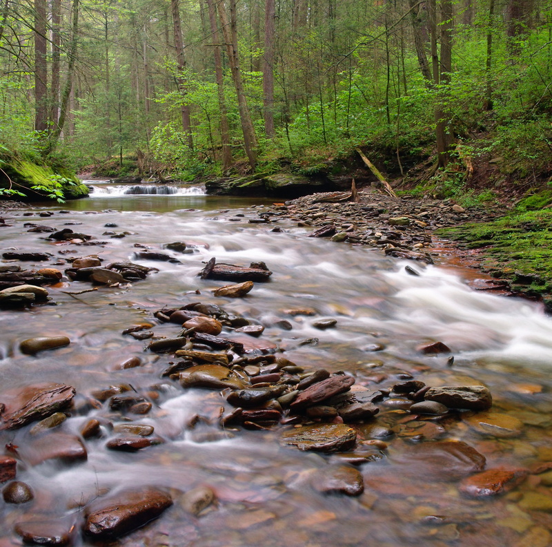 spring, cascades, Trail, landscape, body of water, Kitchen Creek, daytime, rock - Object, body, trees, scenics, tree, nature, Evergreen, 4K, creative commons