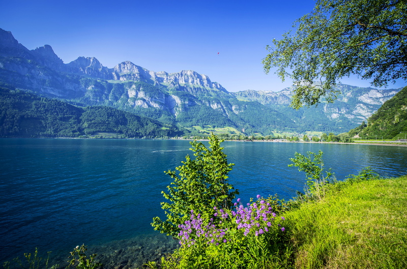 rock - Object, sky, beauty In Nature, Lake Walensee, nature, scenics - nature, travel Destinations, flowers, landscape, mountains, tree, flowering plant
