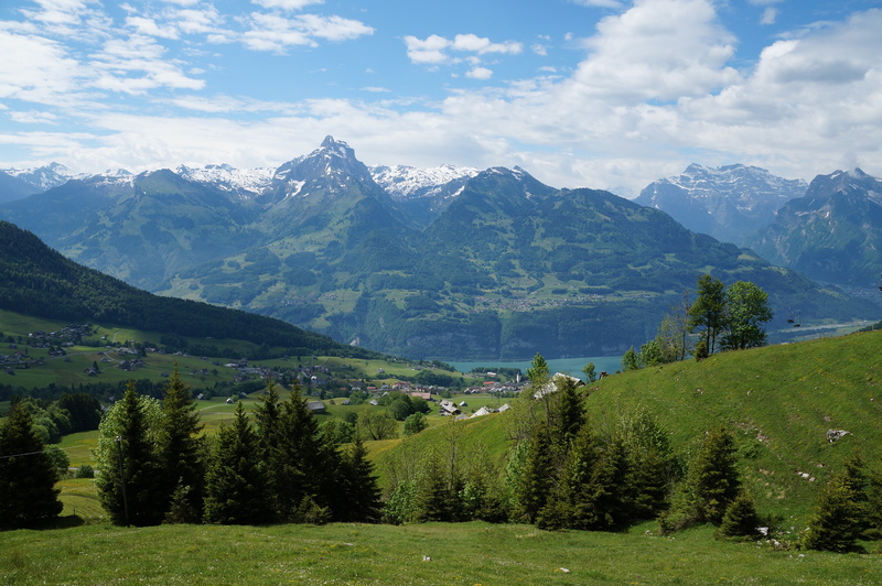 tree, lake, land, outdoors, landscape, scenics - nature, mountain range, beauty in nature, tranquility, alpine, idyllic, mountain, nature, non-urban scene