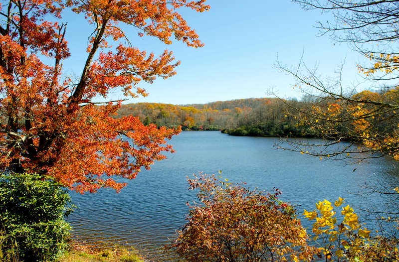 day, growth, tree, plant, colorful, mountain lake, beauty in nature, outdoors, autumn, sky, parkway, change, nature, scenics - nature, non-urban scene