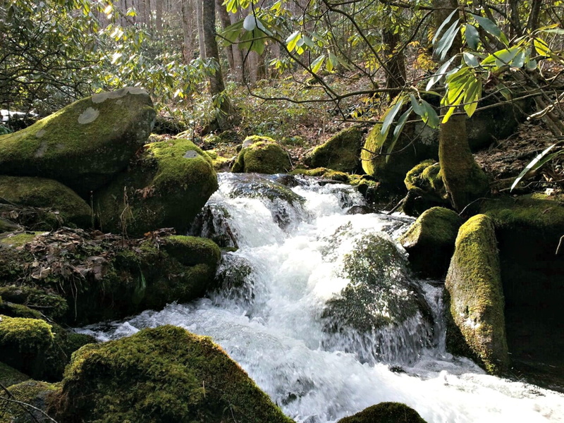 water, mountains, leaf, land, Smoky Mountains, falls, no people, motion, stream, serene, peaceful, waterfall, beauty In Nature, hiking, Nature, forest