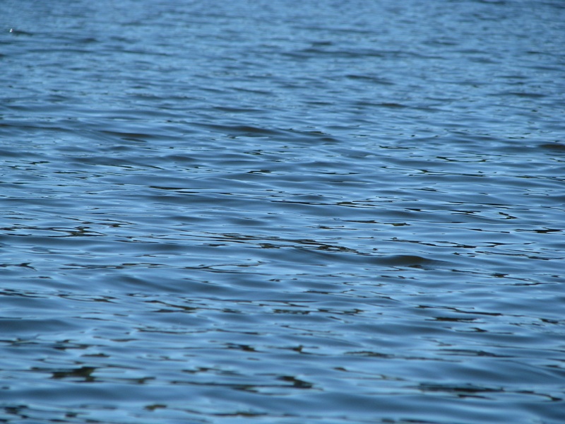 backgrounds, no people, rippled, purity, 2K, tranquility, scenics - nature, lake, day, high angle view, motion, pattern, kodaikanal, outdoors, natural pattern