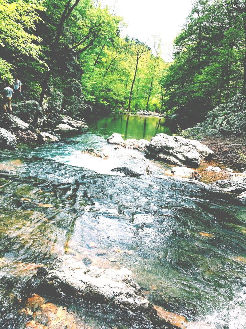 human, plant, nature, little missouri trail, cottage, 4K, person, river, creek, housing, rock, flowing water, non-urban scene, forest, no people, building