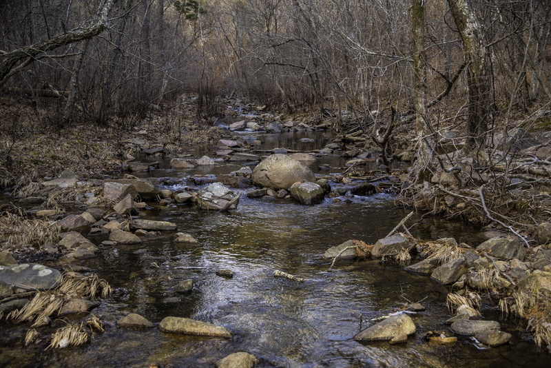 creek, Rocks, river, land, plant, no People, solid, scenics, animals in the wild, stream, animal themes, Hawn State Park, scenics - nature, state, animal