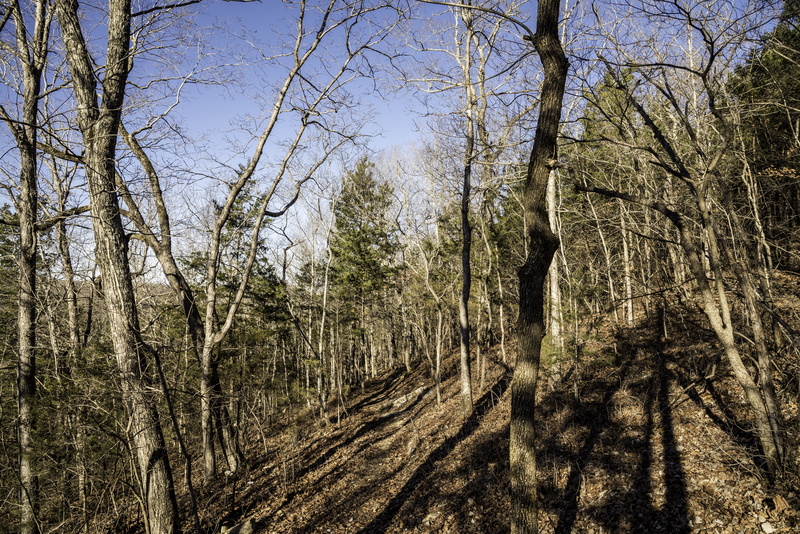 land, river, winter, season, day, Current River, forest, sky, photos, bare tree, tree Trunk, trail, tranquil scene, landscape, beauty in nature, park, Missouri