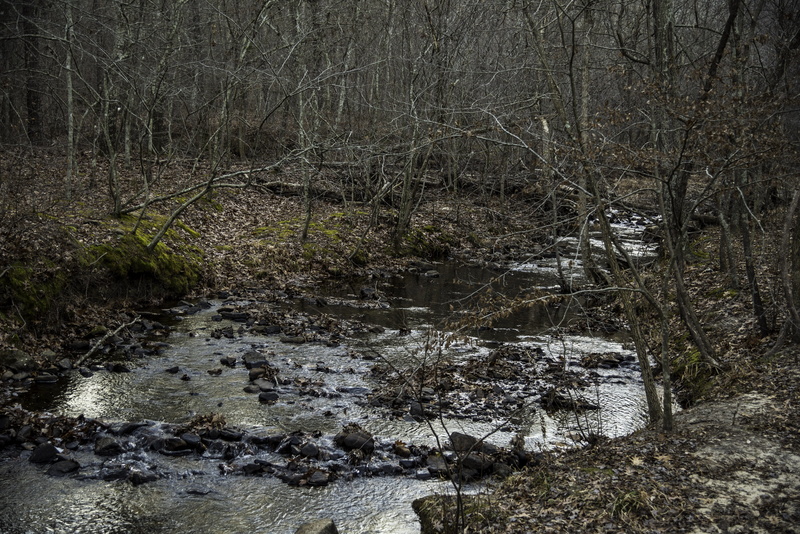 stream - flowing water, flowing water, flowing, Landscape, plant, scenics, Hawn State Park, public domain, growth, no People, reflection, in the woods