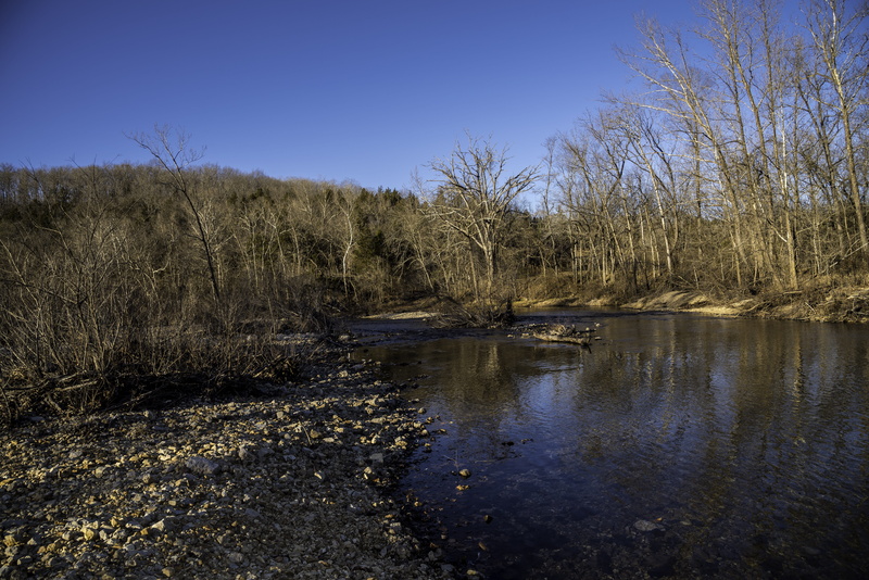 landscapes, water, Echo, Missouri, Current River, Bluff, plant, scenics, current, bare tree, non-urban scene, swamp, nature, marsh, day, photos, tree, Shoreline