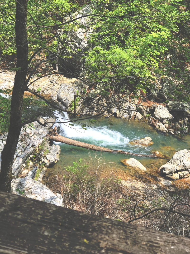 4K, solid, cottage, wilderness, little missouri trail, day, adventure, growth, river, stream, housing, non-urban scene, no people, rock, nature, flowing