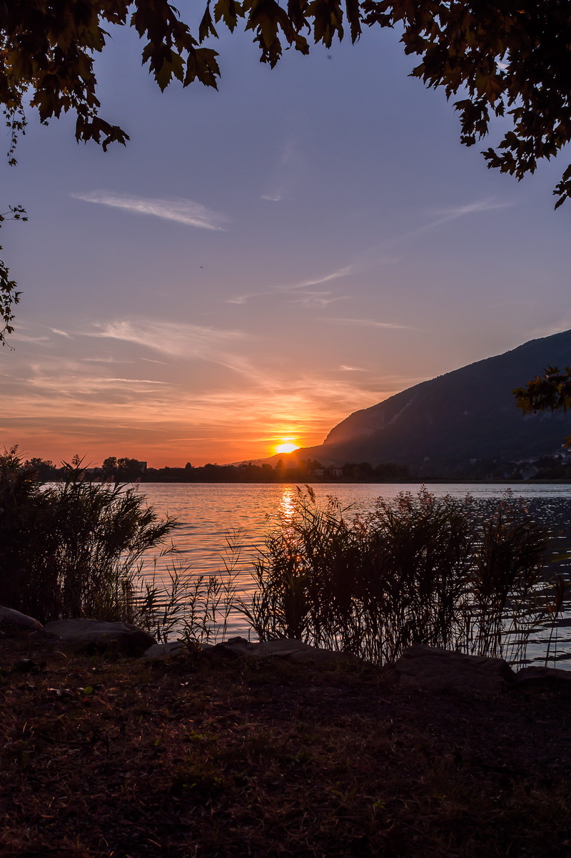 sky, outdoors, sunset, lake, background, cloud - sky, annone di brianza, phone background, plant, 5K, non-urban scene, beauty in nature, autumn, tree