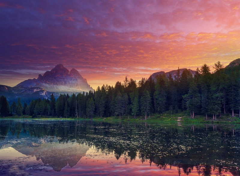 clouds, trees, forest, no people, sunset, mountain range, scenics - nature, 720P, beauty in nature, sun, pine, mountain, sky, cloud - sky, pine tree, mountains