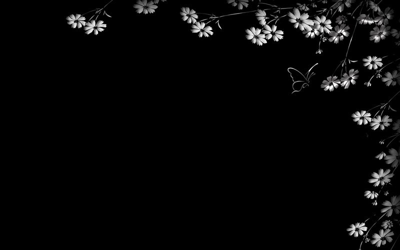 butterfly, freshness, leaf, tree, sky, fragility, elegance, floral Pattern, decoration, illustration, frame, white, vector, christmas, no people, branch