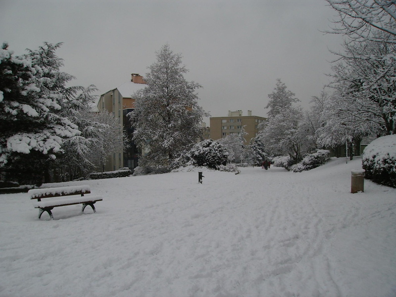 1080P, creteil, neige, nature, snow, city, nature and landscapes