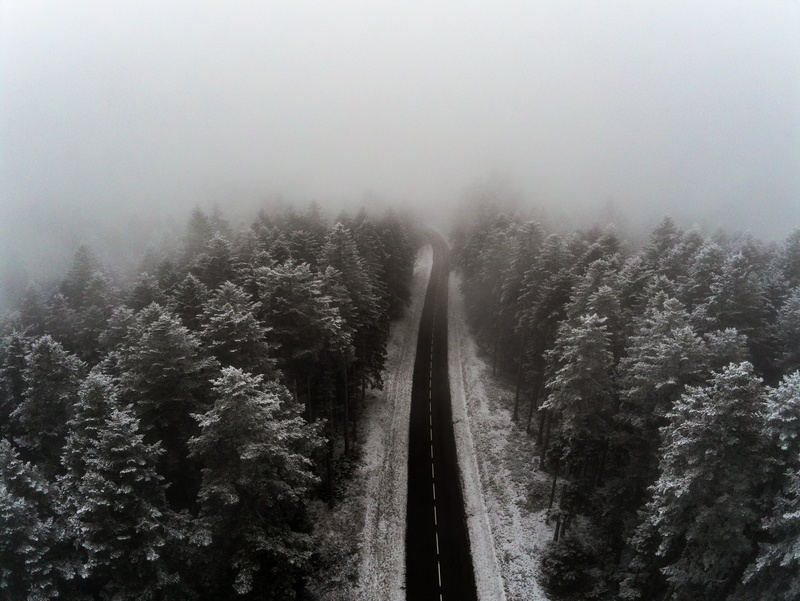 photo, scenics - nature, day, non-urban scene, no people, france, tranquil scene, the way forward, woodland, road, beauty in nature, abies, brouillard