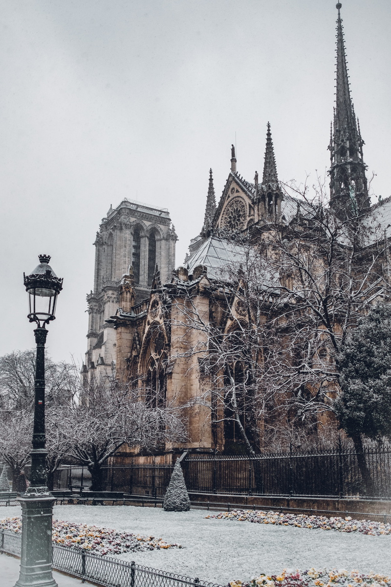outdoors, 5K, building exterior, tree, travel destinations, no people, france, building, cathedral, hiver, street light, tourism, city, paris, beautiful