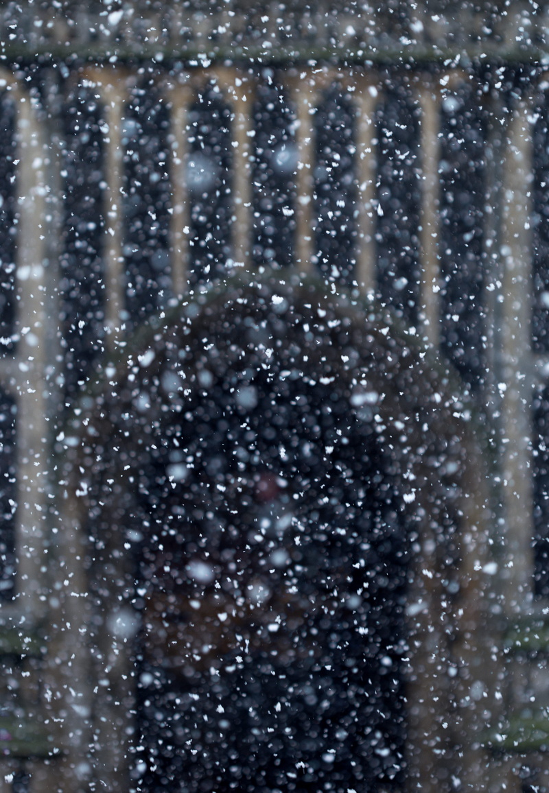 blizzard, focus, 4K, neige, nature, raindrop, no people, the forum, rain, backgrounds, cold temperature, outdoors, snow, shallow depth of field, day, wet