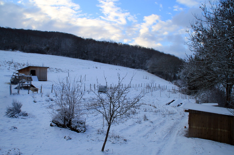 cloud - sky, mountain, 4K, winter, snow, tree, scenics - nature, tranquil scene, sky, plant, building exterior, beauty in nature, hiver, building, built structure