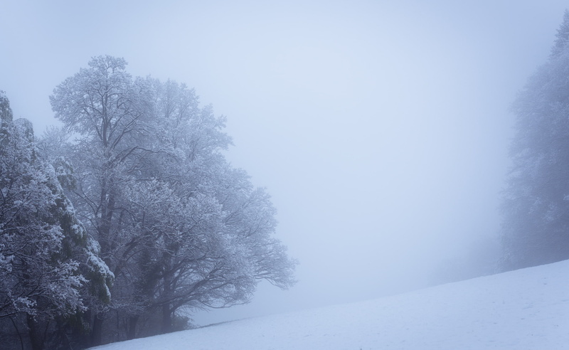 Vosges, Hautes Vosges, Lightroom, Simple, Mountain, Snow, Winter, Europe, April, Scenery, Landscape, 2K, 50mm 1.4, Mist, paysage, D810, nikon, fog, CoveredSky