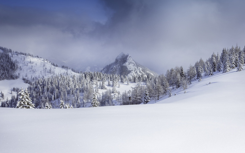 Austria, peak, tranquil Scene, cloud, tranquility, coniferous tree, pine woodland, snowcapped mountain, black, scenics, winter, cold temperature, snow