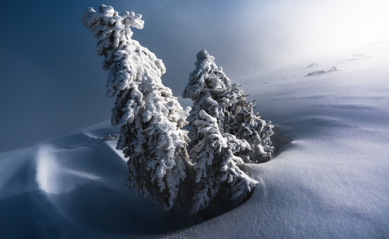 Snow, D810, Seasons, Contraste, Landscape, Frozen, Lightroom, Nature, February, mountainpeak, Contre jour, Scenery, 2K, Europe, Trees, Sapins, 18-35mm