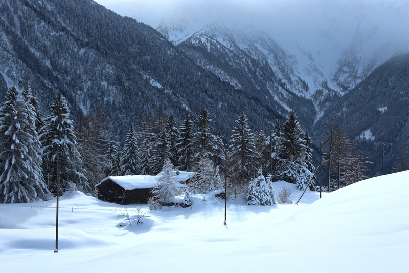 hiver, outdoors, 4K, season, tree, surrounded, black house, brume, european Alps, neige, nature, montagnes, winter, house, trees, sapins, mont, snow, black