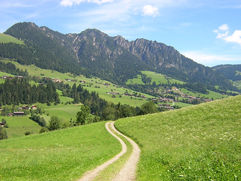 720P, mountain, outdoors, sky  austria, tree, nature, green Color, sky, grass, blue, covered, green  mountains, meadow, blue sky, Path, hill, europe, landscape