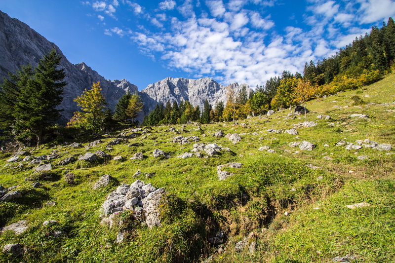 tranquility, Austria, scenics, european Alps, pine tree, environment, holiday, no People, coniferous tree, Karwendel, Mountains, scenics - nature, tree