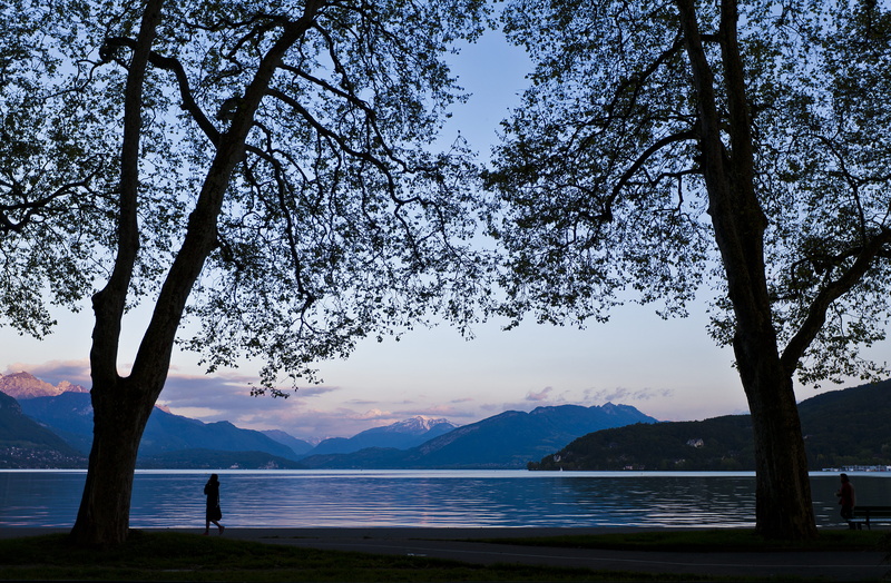 alps, real people, one person, beauty in nature, tranquility, nature, lifestyles, growth, lake, 5K, annecy, water, branch, outdoors, non-urban scene, tree
